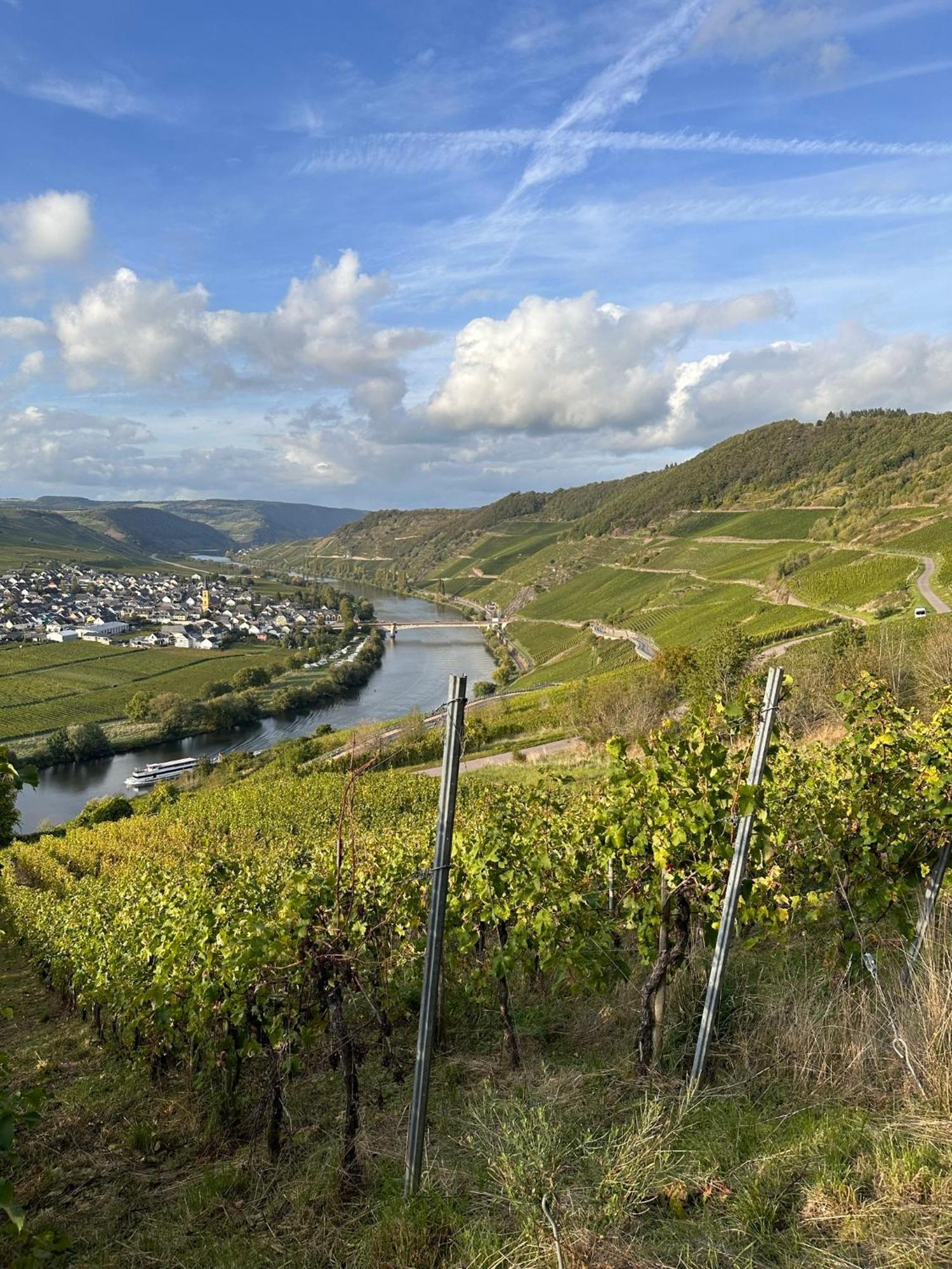 Hotel Krone Riesling Тріттенгайм Екстер'єр фото